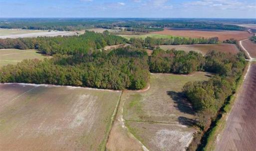Photo of SOLD!!  164.75 Acres of Farm and Timber Land For Sale in Craven County NC!