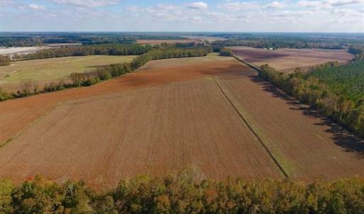 Photo of SOLD!!  164.75 Acres of Farm and Timber Land For Sale in Craven County NC!