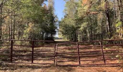 Photo of SOLD!!  164.75 Acres of Farm and Timber Land For Sale in Craven County NC!