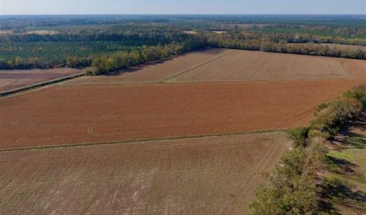 Photo of SOLD!!  164.75 Acres of Farm and Timber Land For Sale in Craven County NC!