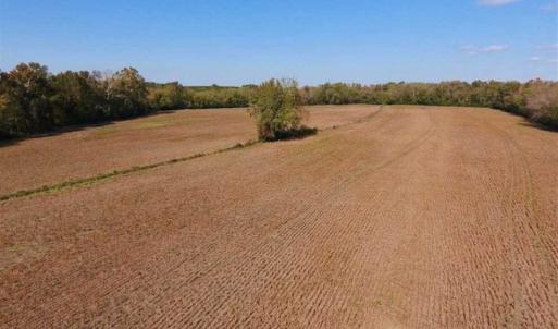 Photo of SOLD!!  164.75 Acres of Farm and Timber Land For Sale in Craven County NC!