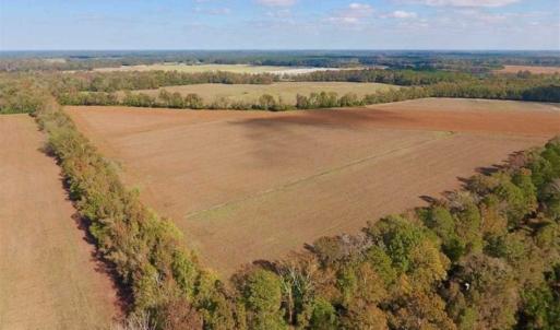 Photo of SOLD!!  164.75 Acres of Farm and Timber Land For Sale in Craven County NC!