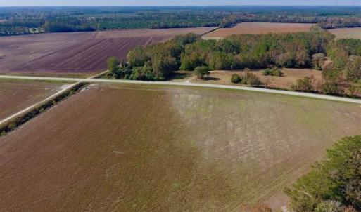 Photo of SOLD!!  164.75 Acres of Farm and Timber Land For Sale in Craven County NC!