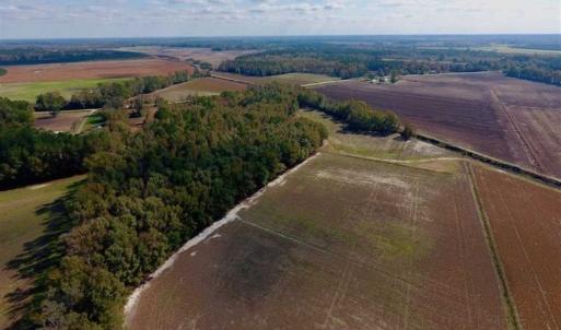 Photo of SOLD!!  164.75 Acres of Farm and Timber Land For Sale in Craven County NC!