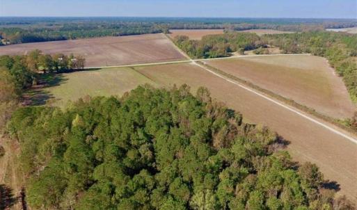 Photo of SOLD!!  164.75 Acres of Farm and Timber Land For Sale in Craven County NC!