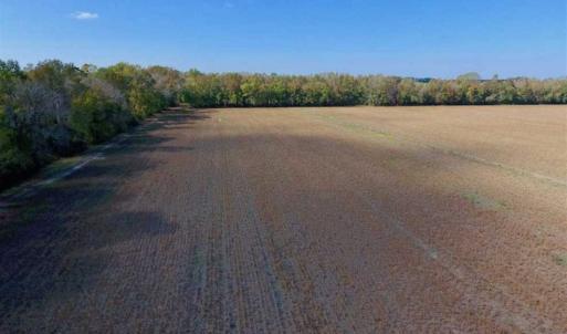 Photo of SOLD!!  164.75 Acres of Farm and Timber Land For Sale in Craven County NC!