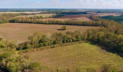 Photo of SOLD!!  164.75 Acres of Farm and Timber Land For Sale in Craven County NC!