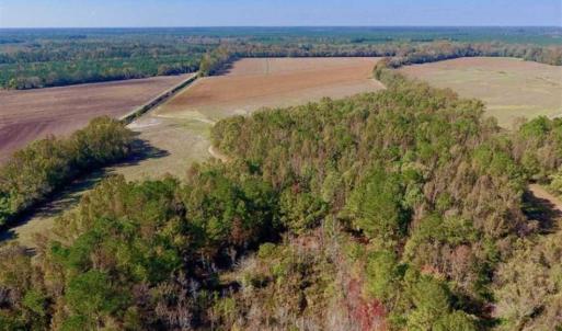 Photo of SOLD!!  164.75 Acres of Farm and Timber Land For Sale in Craven County NC!