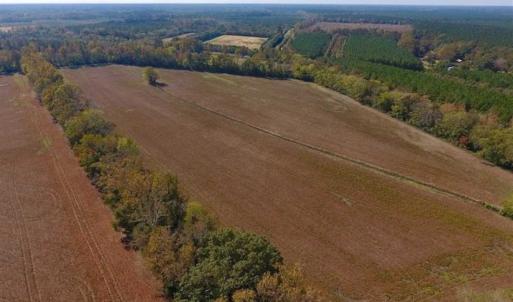 Photo of SOLD!!  164.75 Acres of Farm and Timber Land For Sale in Craven County NC!