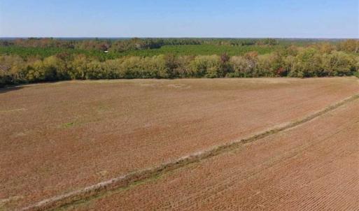 Photo of SOLD!!  164.75 Acres of Farm and Timber Land For Sale in Craven County NC!