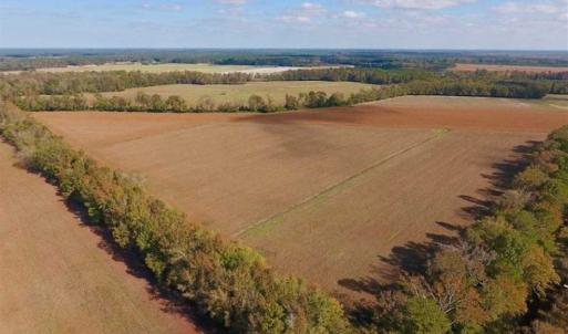 Photo of SOLD!!  164.75 Acres of Farm and Timber Land For Sale in Craven County NC!