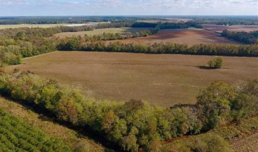 Photo of SOLD!!  164.75 Acres of Farm and Timber Land For Sale in Craven County NC!