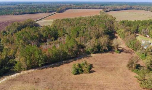 Photo of SOLD!!  164.75 Acres of Farm and Timber Land For Sale in Craven County NC!