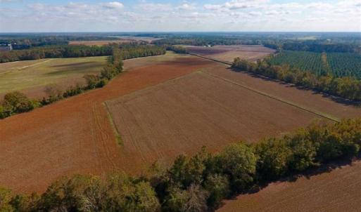 Photo of SOLD!!  164.75 Acres of Farm and Timber Land For Sale in Craven County NC!