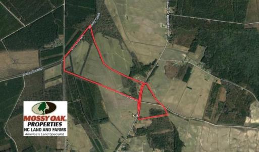 Photo of SOLD!!  164.75 Acres of Farm and Timber Land For Sale in Craven County NC!