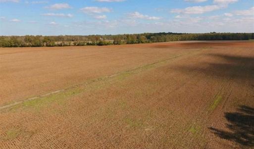 Photo of SOLD!!  164.75 Acres of Farm and Timber Land For Sale in Craven County NC!