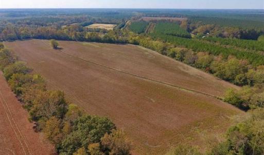 Photo of SOLD!!  164.75 Acres of Farm and Timber Land For Sale in Craven County NC!