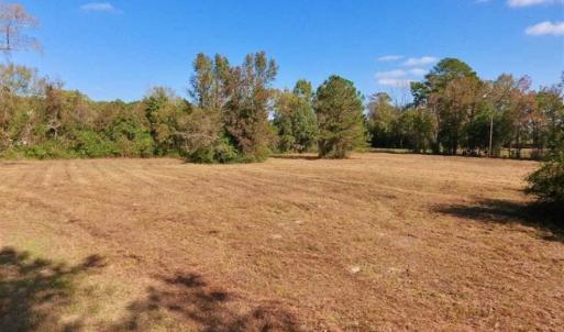 Photo of SOLD!!  164.75 Acres of Farm and Timber Land For Sale in Craven County NC!