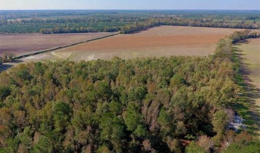 Photo of SOLD!!  164.75 Acres of Farm and Timber Land For Sale in Craven County NC!