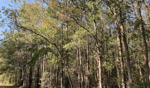 Photo of SOLD!!  164.75 Acres of Farm and Timber Land For Sale in Craven County NC!