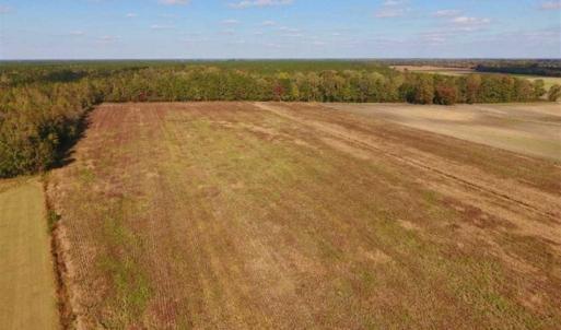 Photo of UNDER CONTRACT!!  43.57 Acres of Farm and Timber Land For Sale in Craven County NC!