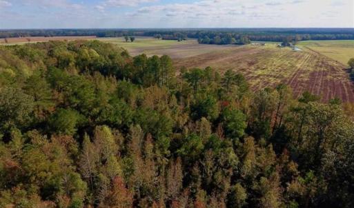Photo of UNDER CONTRACT!!  43.57 Acres of Farm and Timber Land For Sale in Craven County NC!