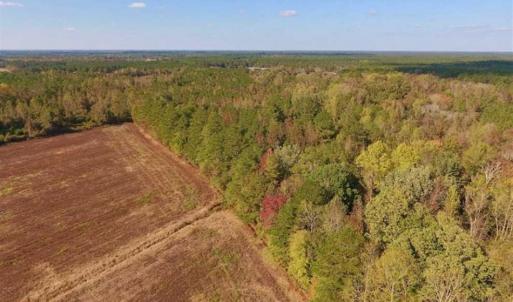 Photo of UNDER CONTRACT!!  43.57 Acres of Farm and Timber Land For Sale in Craven County NC!