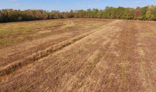 Photo of UNDER CONTRACT!!  43.57 Acres of Farm and Timber Land For Sale in Craven County NC!