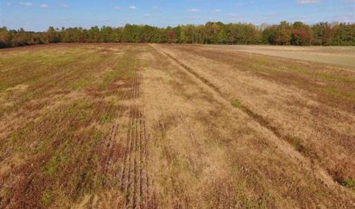 Photo of UNDER CONTRACT!!  43.57 Acres of Farm and Timber Land For Sale in Craven County NC!
