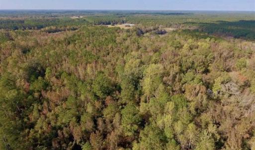 Photo of UNDER CONTRACT!!  43.57 Acres of Farm and Timber Land For Sale in Craven County NC!