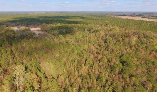 Photo of UNDER CONTRACT!!  43.57 Acres of Farm and Timber Land For Sale in Craven County NC!