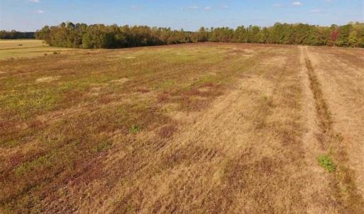 Photo of UNDER CONTRACT!!  43.57 Acres of Farm and Timber Land For Sale in Craven County NC!