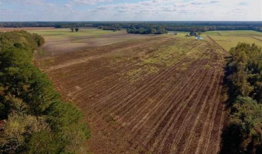 Photo of UNDER CONTRACT!!  43.57 Acres of Farm and Timber Land For Sale in Craven County NC!