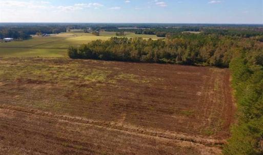 Photo of UNDER CONTRACT!!  43.57 Acres of Farm and Timber Land For Sale in Craven County NC!
