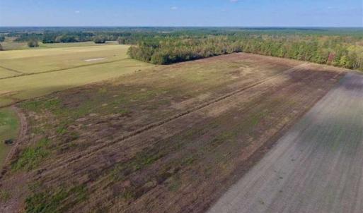 Photo of UNDER CONTRACT!!  43.57 Acres of Farm and Timber Land For Sale in Craven County NC!