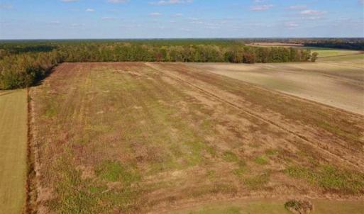 Photo of UNDER CONTRACT!!  43.57 Acres of Farm and Timber Land For Sale in Craven County NC!