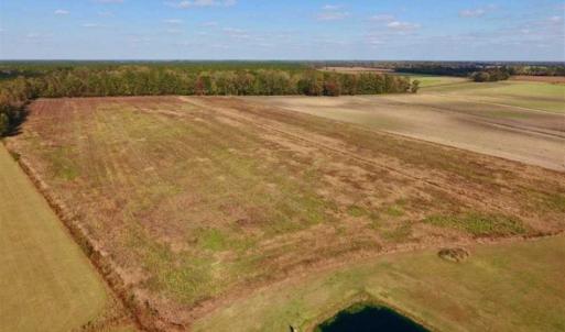 Photo of UNDER CONTRACT!!  43.57 Acres of Farm and Timber Land For Sale in Craven County NC!