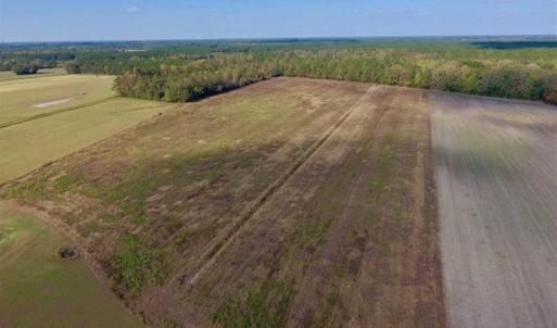 Photo of UNDER CONTRACT!!  43.57 Acres of Farm and Timber Land For Sale in Craven County NC!