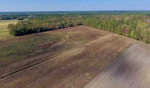 Photo of UNDER CONTRACT!!  43.57 Acres of Farm and Timber Land For Sale in Craven County NC!