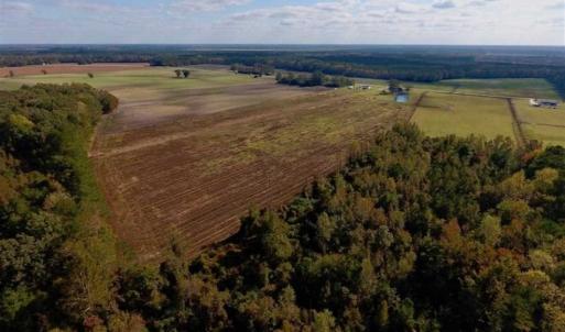 Photo of UNDER CONTRACT!!  43.57 Acres of Farm and Timber Land For Sale in Craven County NC!