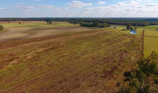 Photo of UNDER CONTRACT!!  43.57 Acres of Farm and Timber Land For Sale in Craven County NC!