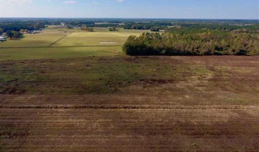 Photo of UNDER CONTRACT!!  43.57 Acres of Farm and Timber Land For Sale in Craven County NC!