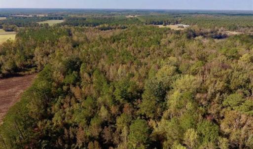 Photo of UNDER CONTRACT!!  43.57 Acres of Farm and Timber Land For Sale in Craven County NC!