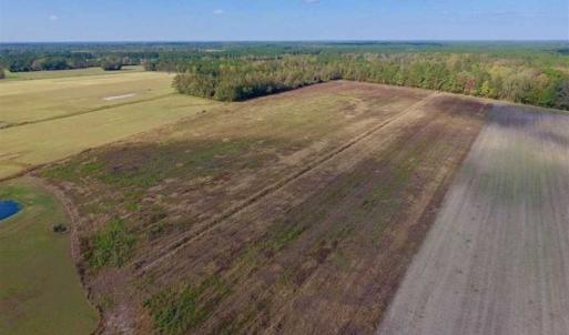 Photo of UNDER CONTRACT!!  43.57 Acres of Farm and Timber Land For Sale in Craven County NC!
