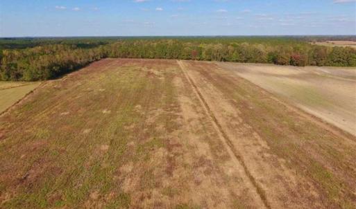 Photo of UNDER CONTRACT!!  43.57 Acres of Farm and Timber Land For Sale in Craven County NC!