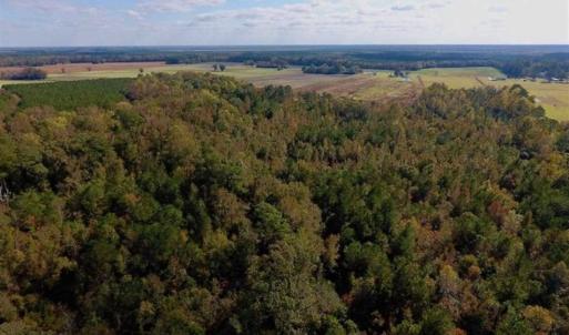 Photo of UNDER CONTRACT!!  43.57 Acres of Farm and Timber Land For Sale in Craven County NC!