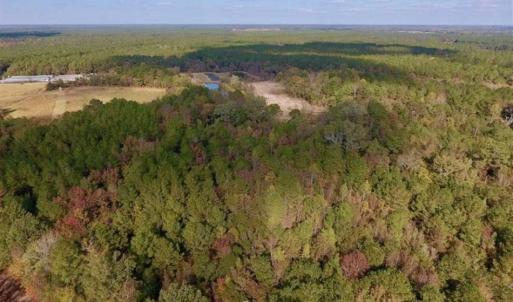 Photo of UNDER CONTRACT!!  43.57 Acres of Farm and Timber Land For Sale in Craven County NC!