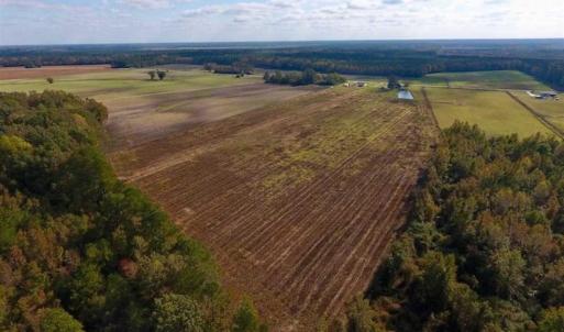 Photo of UNDER CONTRACT!!  43.57 Acres of Farm and Timber Land For Sale in Craven County NC!
