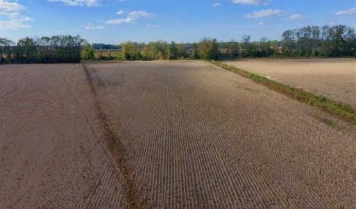 Photo of SOLD!!  58 Acres of Farm Land For Sale in Craven County NC!