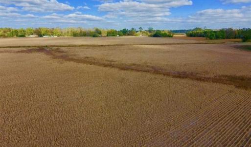 Photo of SOLD!!  58 Acres of Farm Land For Sale in Craven County NC!